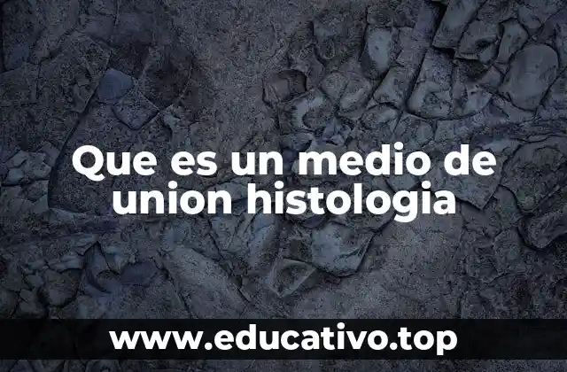 Que es un medio de union histologia