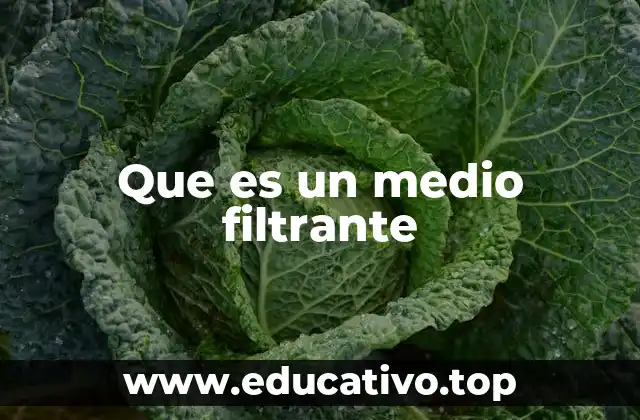 Que es un medio filtrante