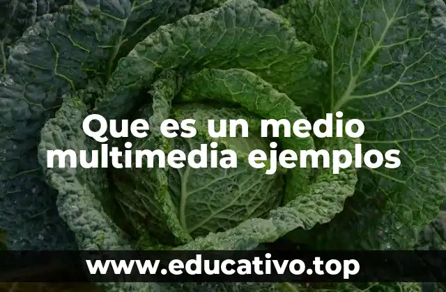 Que es un medio multimedia ejemplos