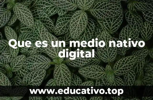 Que es un medio nativo digital