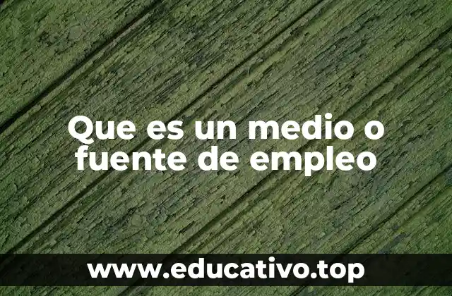 Que es un medio o fuente de empleo