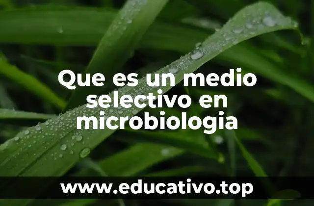 Que es un medio selectivo en microbiologia