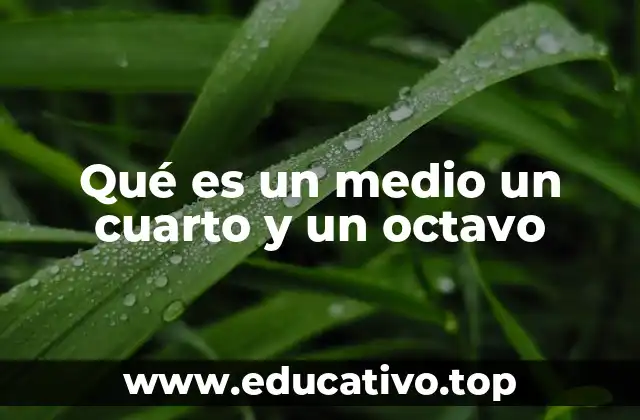 Qué es un medio un cuarto y un octavo