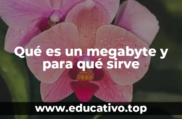 Cómo se relaciona el megabyte con otras unidades de almacenamiento