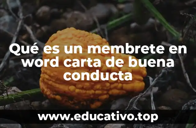 Qué es un membrete en word carta de buena conducta