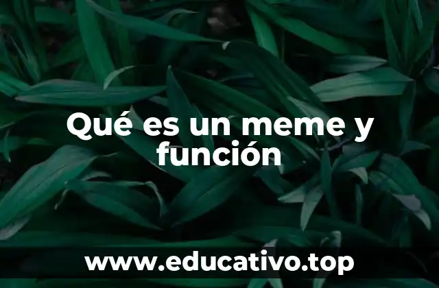 La evolución de la cultura digital a través de los memes