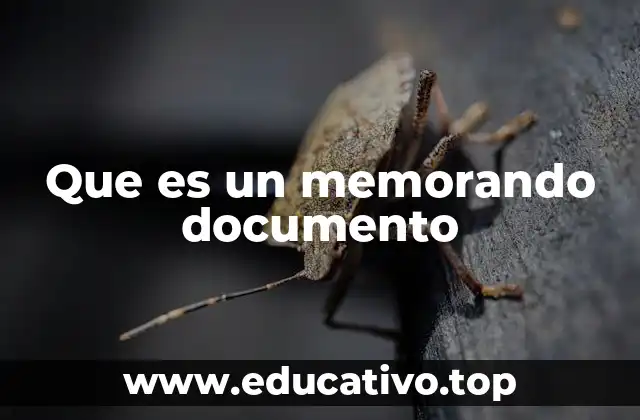 Que es un memorando documento