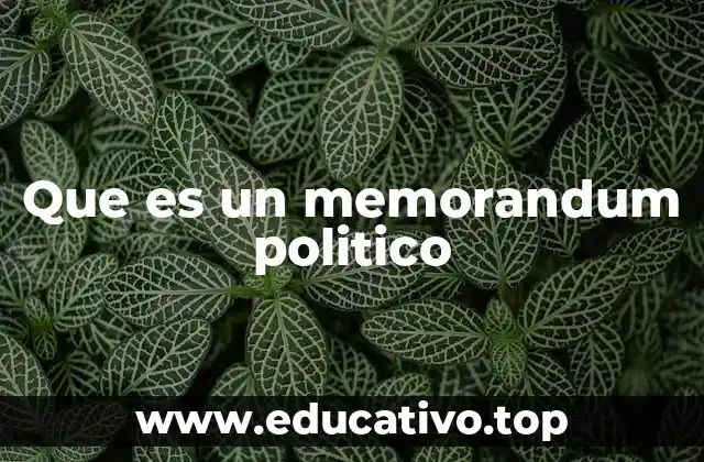 Que es un memorandum politico