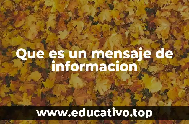 Que es un mensaje de informacion