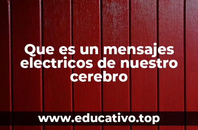 Que es un mensajes electricos de nuestro cerebro