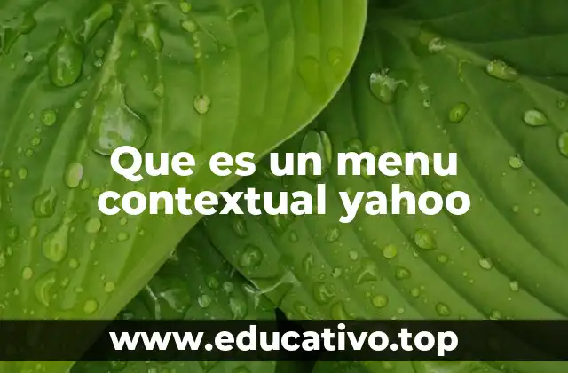 Que es un menu contextual yahoo