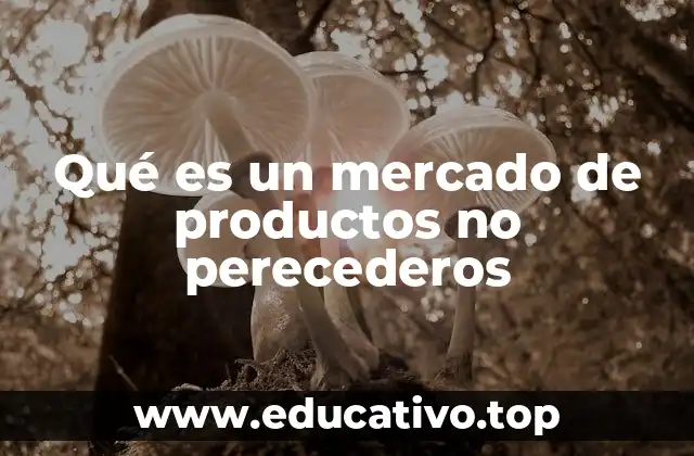 Qué es un mercado de productos no perecederos