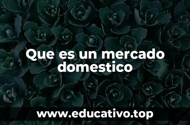 Que es un mercado domestico