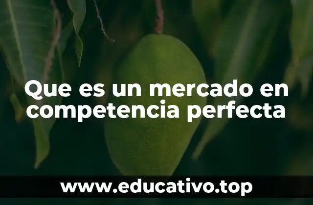 Que es un mercado en competencia perfecta