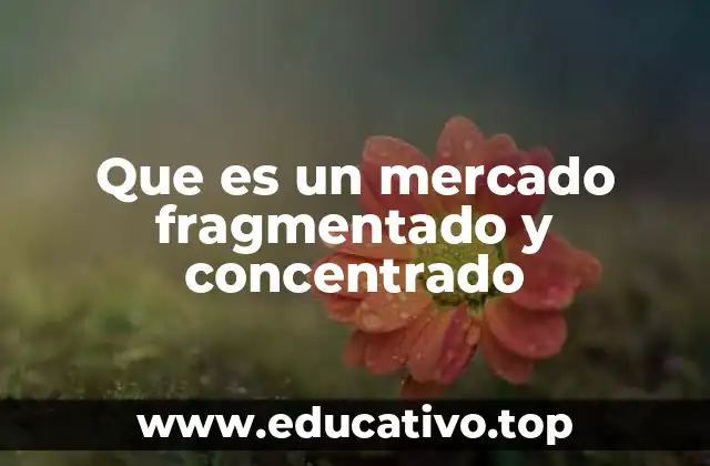 Que es un mercado fragmentado y concentrado