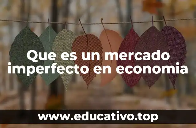 Que es un mercado imperfecto en economia
