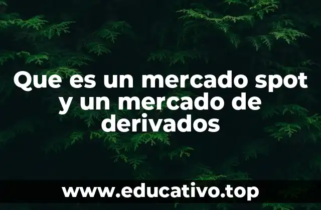 Que es un mercado spot y un mercado de derivados