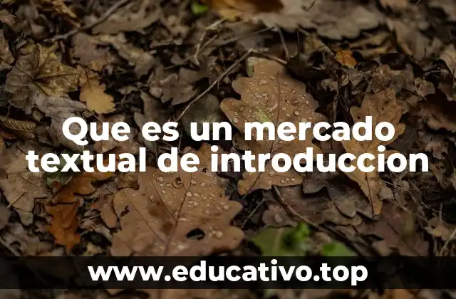 Que es un mercado textual de introduccion