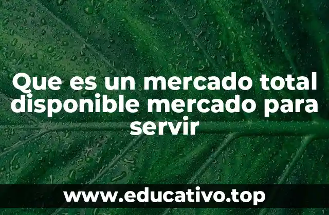 Que es un mercado total disponible mercado para servir