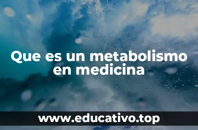 Cómo el metabolismo afecta la salud y el funcionamiento corporal