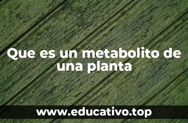 Que es un metabolito de una planta