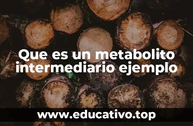 Que es un metabolito intermediario ejemplo