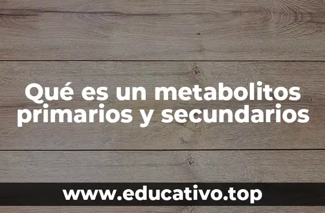 Qué es un metabolitos primarios y secundarios