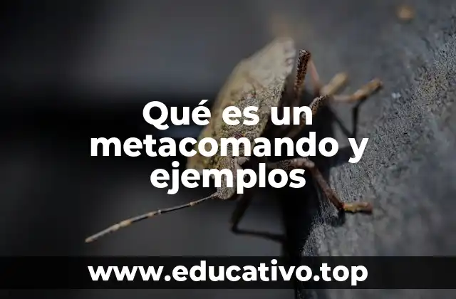 El poder de los operadores en el flujo de comandos