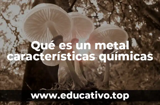 Qué es un metal características químicas