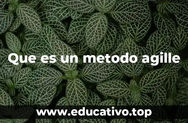 Que es un metodo agille