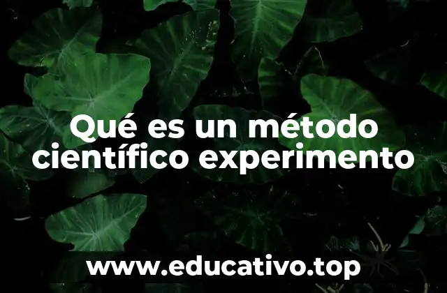 Qué es un método científico experimento