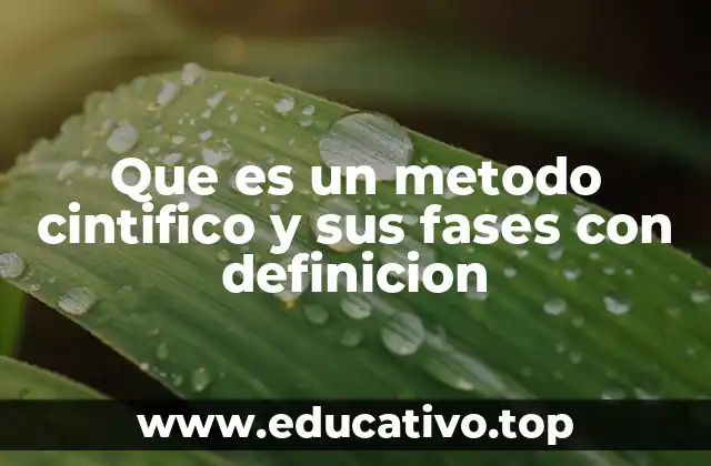 Que es un metodo cintifico y sus fases con definicion