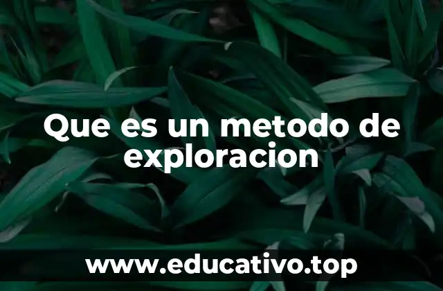 Que es un metodo de exploracion