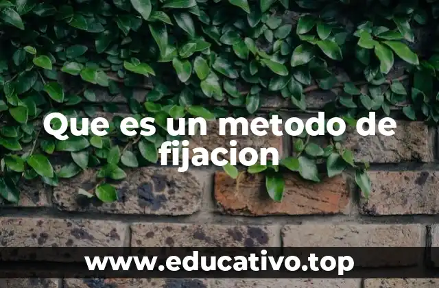Que es un metodo de fijacion