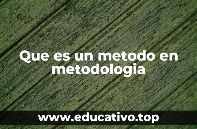 Que es un metodo en metodologia