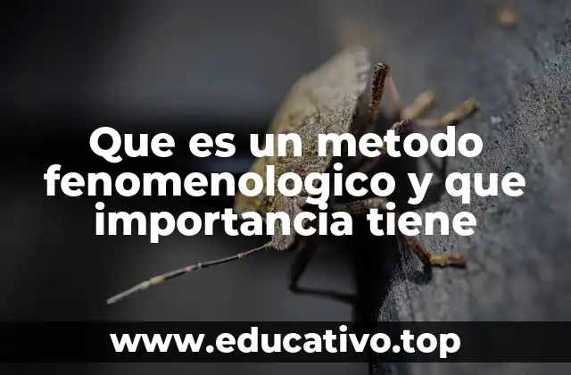 Que es un metodo fenomenologico y que importancia tiene