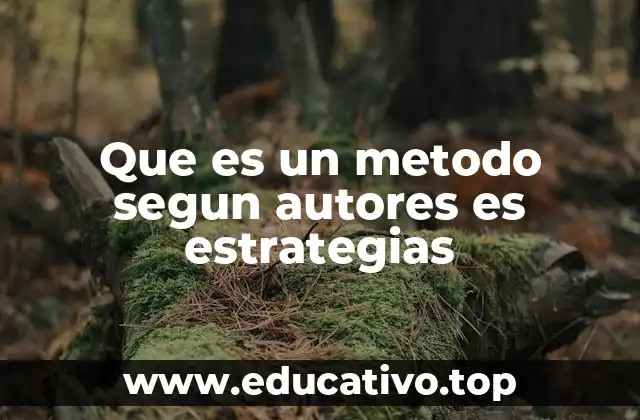 Que es un metodo segun autores es estrategias