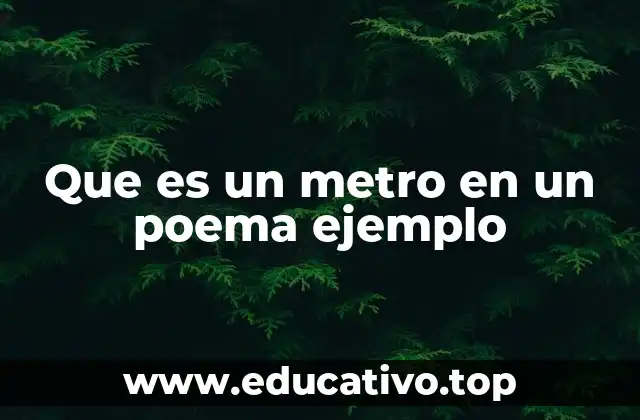 Que es un metro en un poema ejemplo
