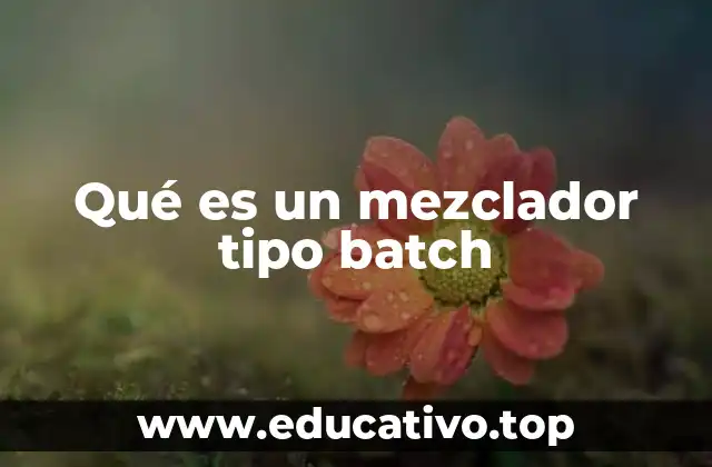 Qué es un mezclador tipo batch