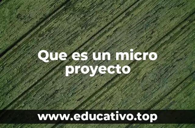 Que es un micro proyecto