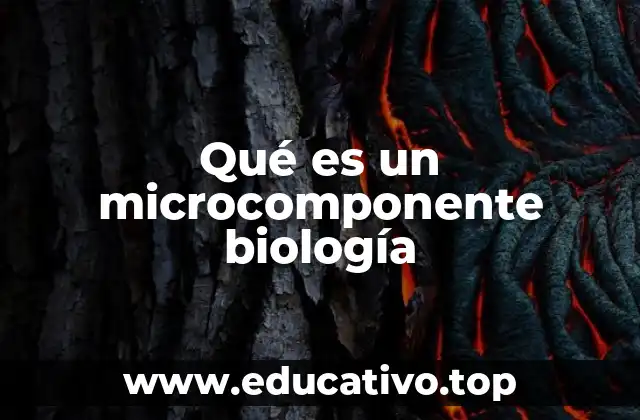 Qué es un microcomponente biología