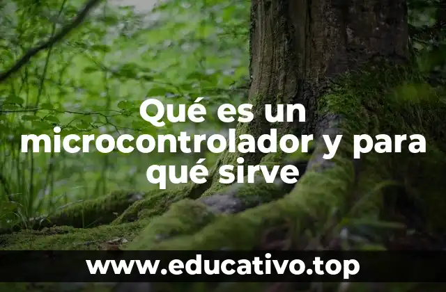 Qué es un microcontrolador y para qué sirve