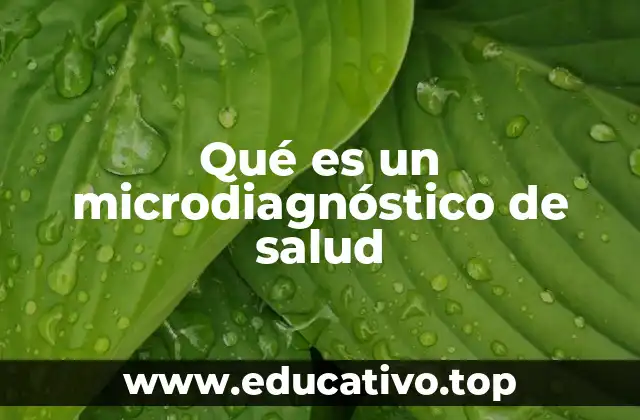 Qué es un microdiagnóstico de salud