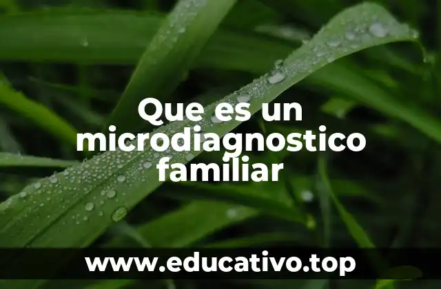 Que es un microdiagnostico familiar