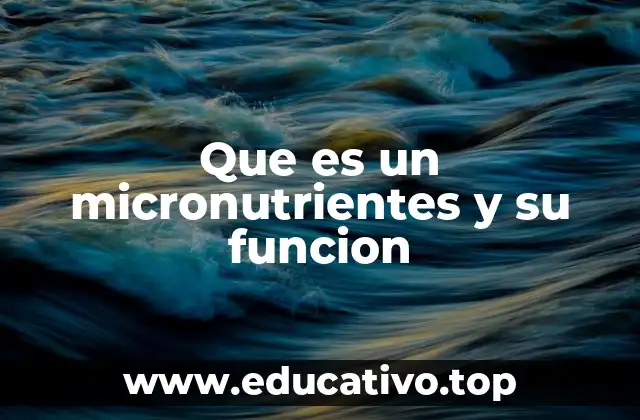 Que es un micronutrientes y su funcion
