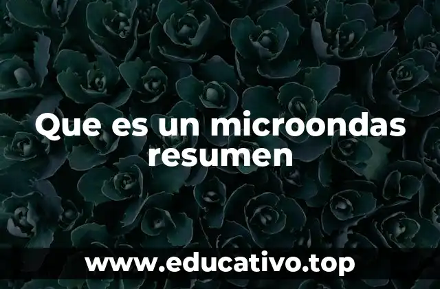 Que es un microondas resumen
