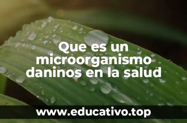 Que es un microorganismo daninos en la salud