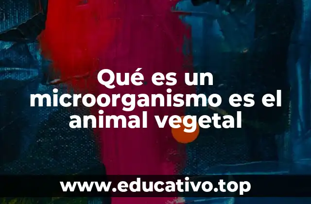 Qué es un microorganismo es el animal vegetal