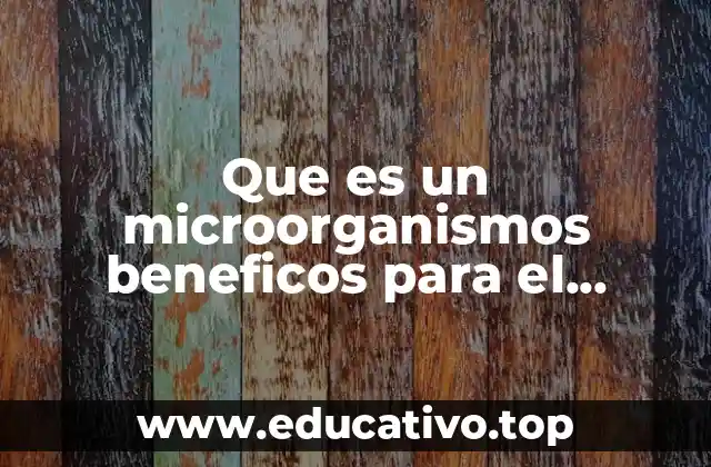 Que es un microorganismos beneficos para el hombre