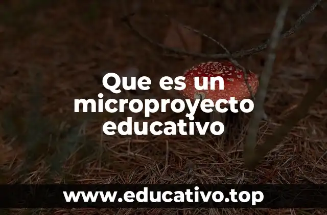 Que es un microproyecto educativo
